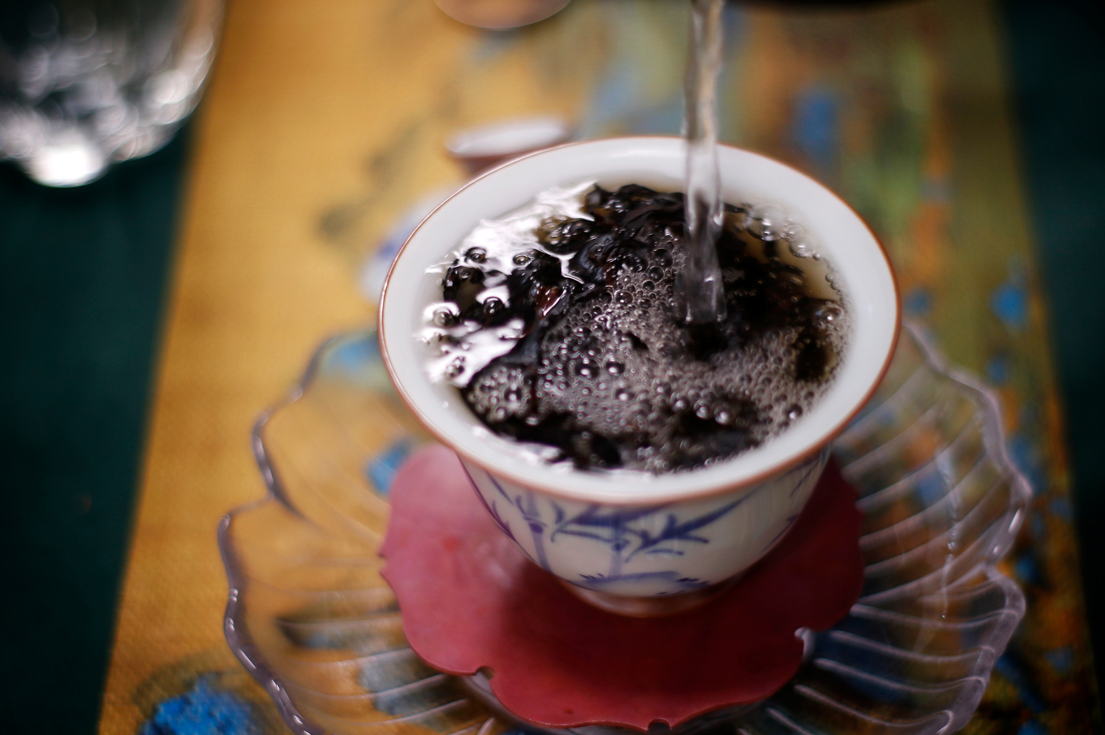 茶山合照
